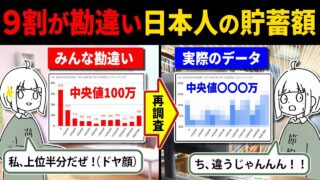 【ガチ調査】日本人の貯蓄額の実態が思ってたのとちょっと違う気がする件について考えてみようの動画。