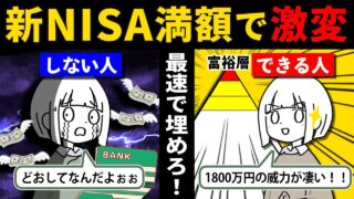 【結局コレ】新NISA満額にしたら結構余裕のある人生になるんだなっていう感じなので頑張ろうという動画。