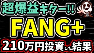 【過去最高】新NISAでFANG+に210万円の積立投資したら「10年で1億円」ペースのリターンに！！
