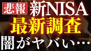【闇が深い…】新NISAでS&P500・全世界株式をおすすめしない…。最新調査結果