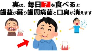 誰かに話したくなる健康雑学【知らないと手遅れ！歯茎が下がる前にやるべき4つの習慣】