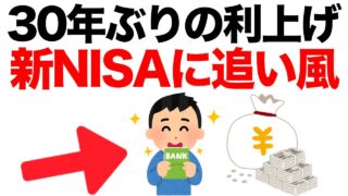 【30年ぶりの利上げ】新NISAと相性抜群だった