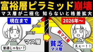【新NISAの影響】すでに同じマス層でも二分化してる！？変化していく富裕層ピラミッドと今やるべきこと。