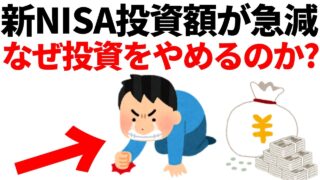 みんな投資やめたの?新NISAの投資額が急減した理由とは!?