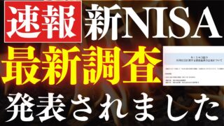 【速報】新NISA、政府が最新調査を発表した…！利用率14％・平均積立額はいくら？