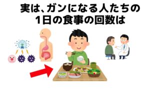 【雑学】誰かに話したくなる健康と人の役立つ雑学