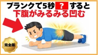 筋トレに関する健康雑学【プランクで5秒〇〇すると下腹がみるみる凹む】
