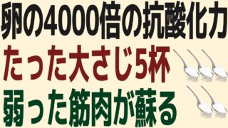 健康寿命を延ばす秘訣※60代から筋肉が落ちる対策・筋肉の減少を食い止める※卵だけに頼らない「たった大さじ1杯」の驚きの抗酸化パワー※長生きのための食事